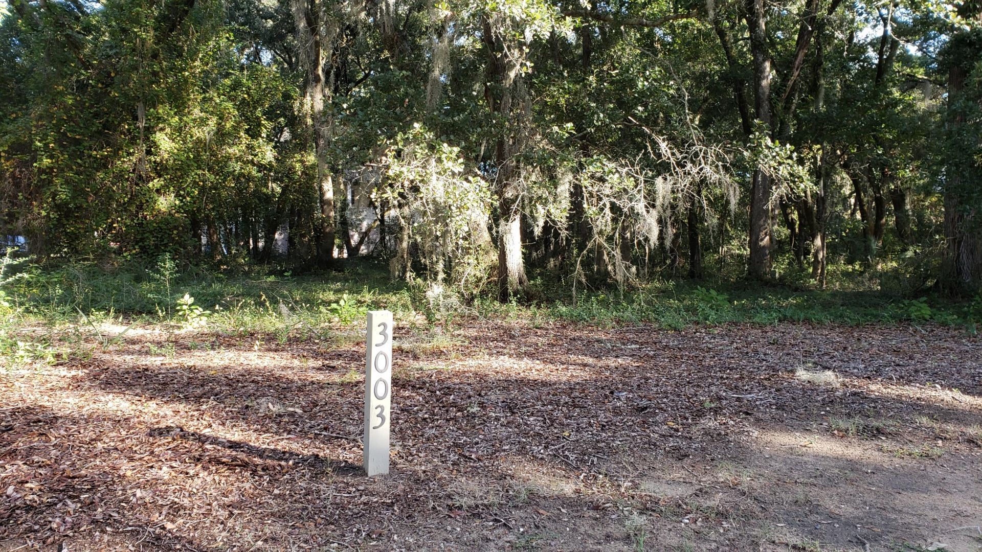 3003 Maritime Forest Drive Photo 4