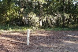 3003 Maritime Forest Drive photo 4