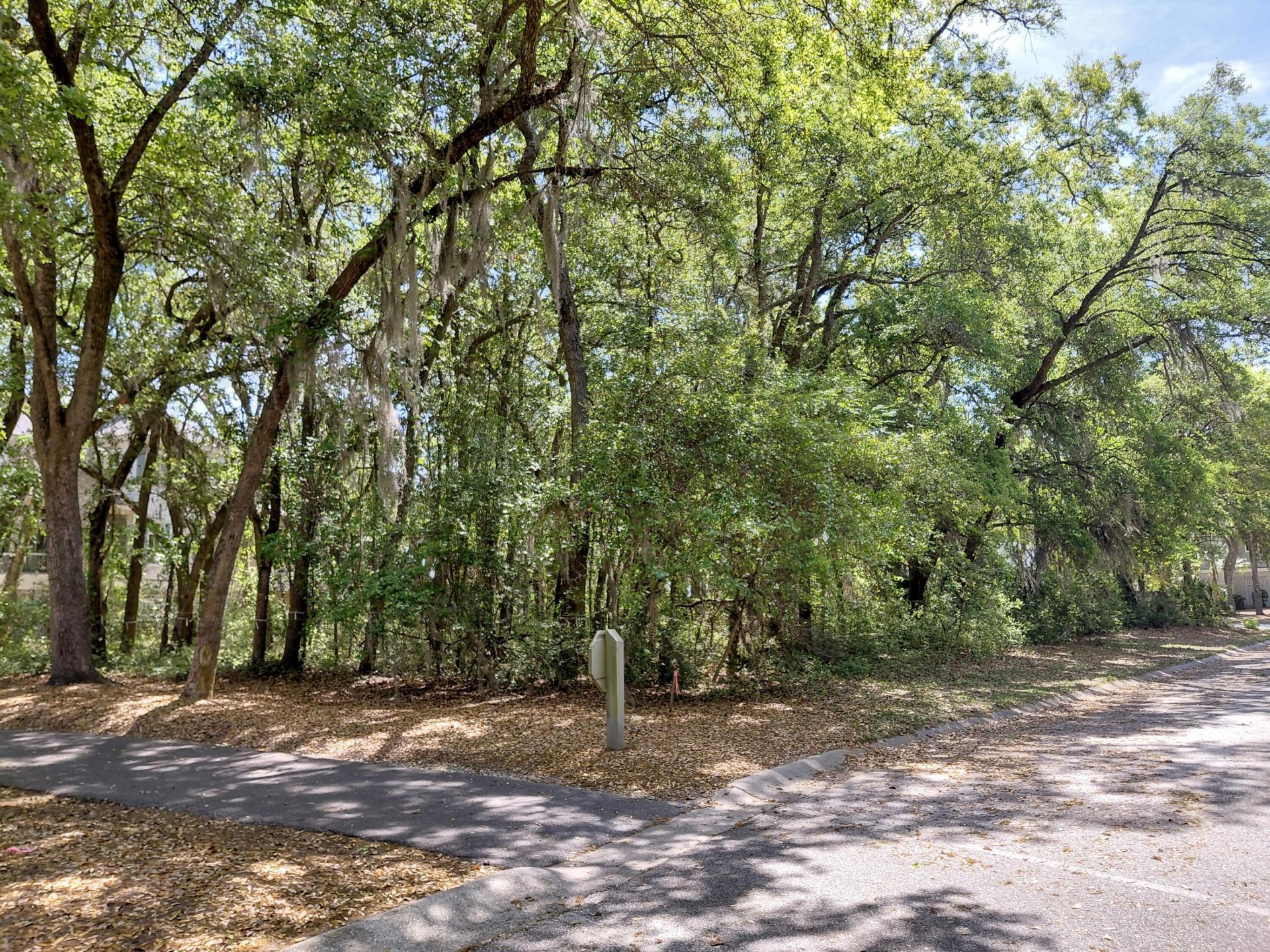 3003 Maritime Forest Drive Photo 5