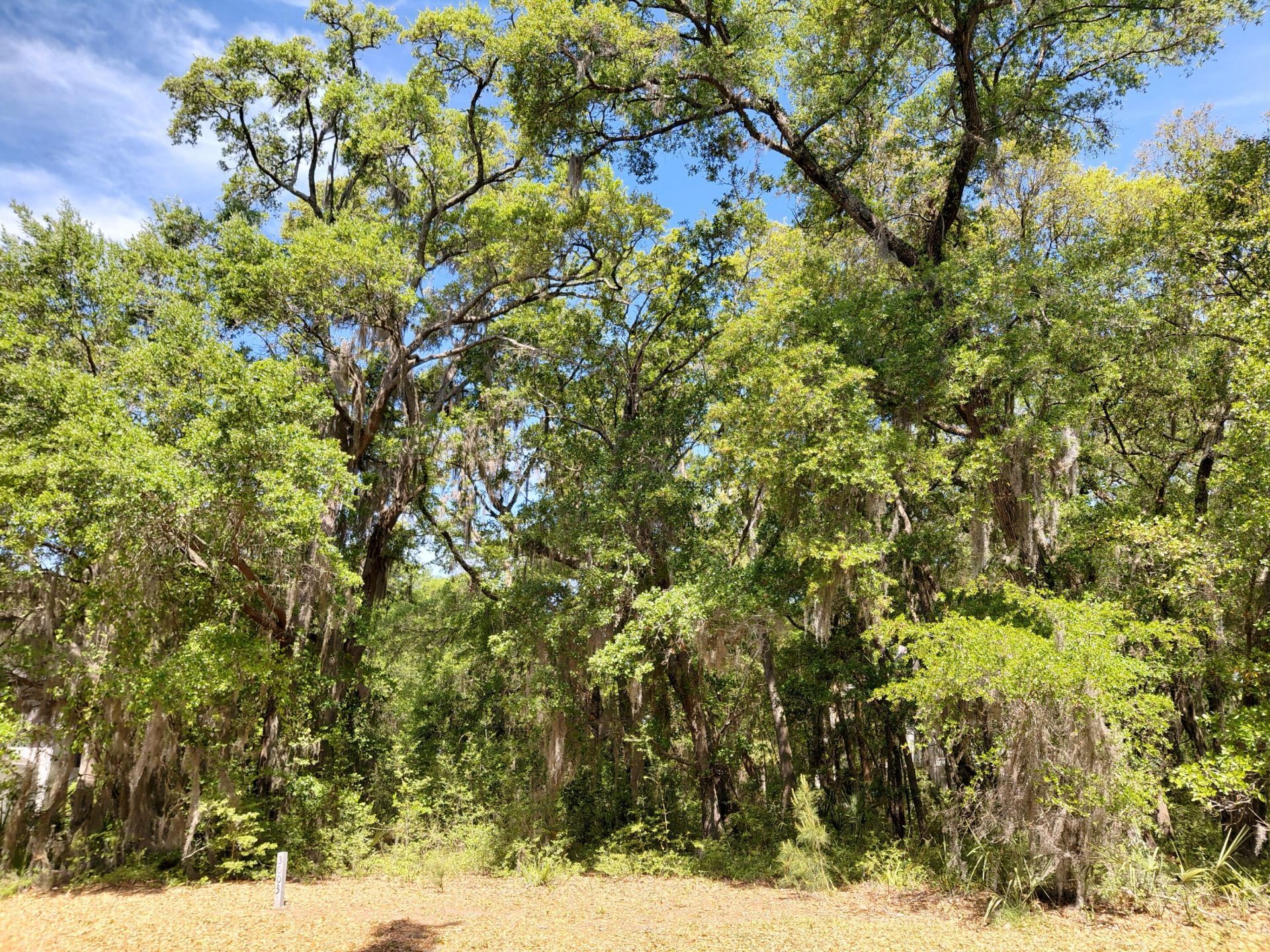 3003 Maritime Forest Drive Photo 7