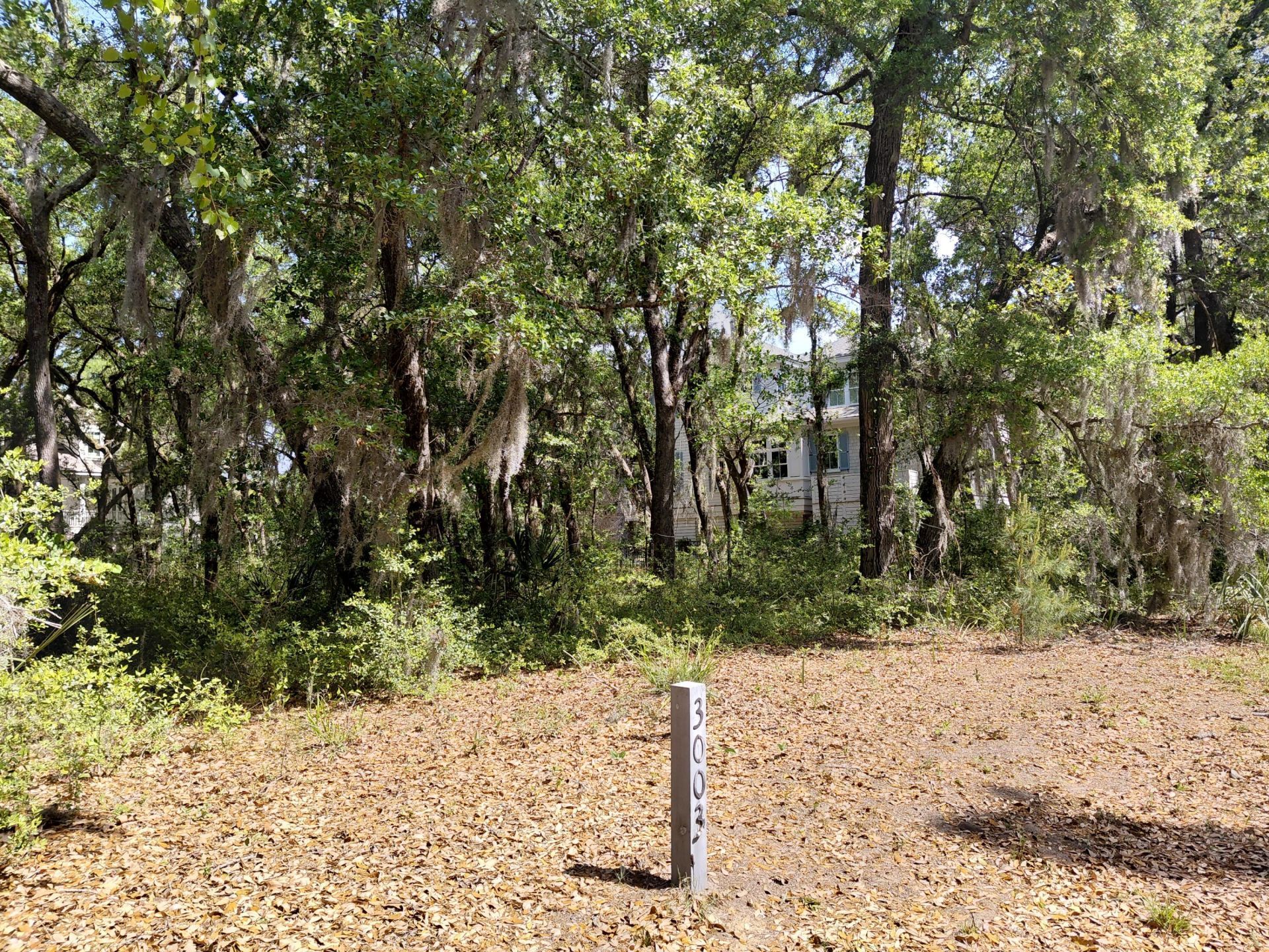 3003 Maritime Forest Drive Photo 8