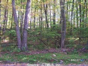 254 Stoddard, Morris, CT 06763