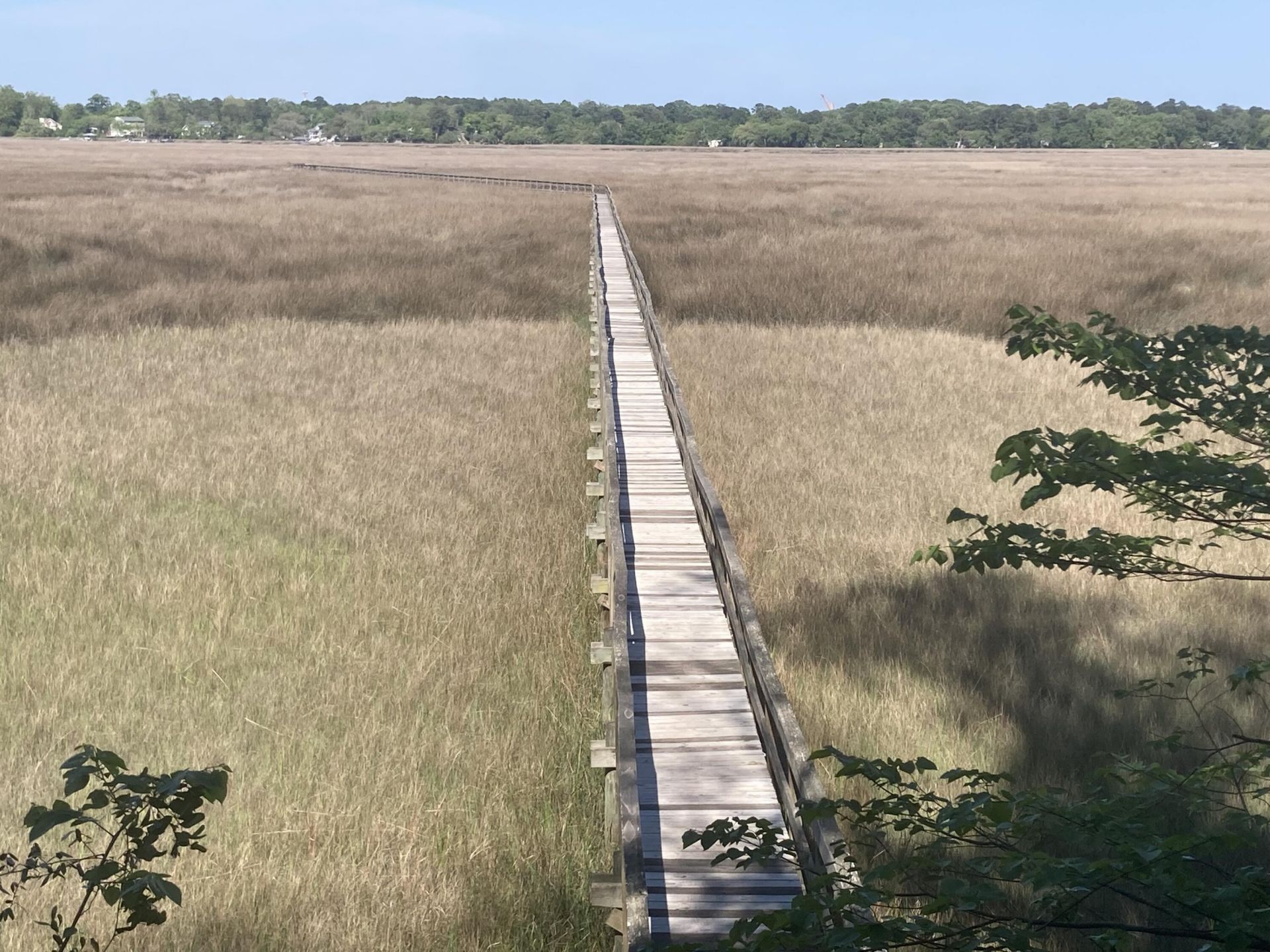 3121 Mulan Lane Photo 37