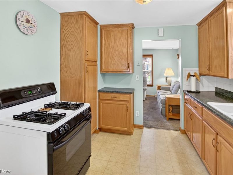 10004 Manoa Avenue, Brooklyn, OH 44144 Photo 11