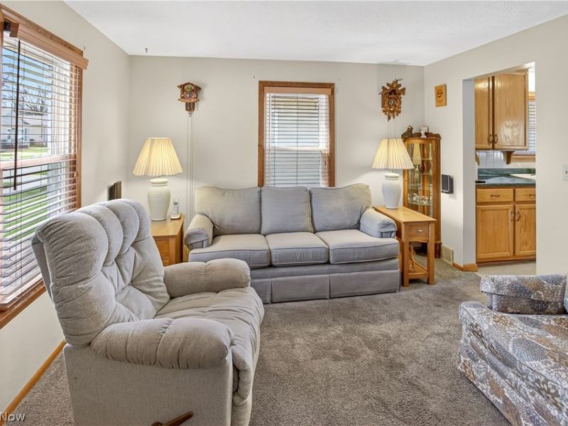 10004 Manoa Avenue, Brooklyn, OH 44144 Photo 12