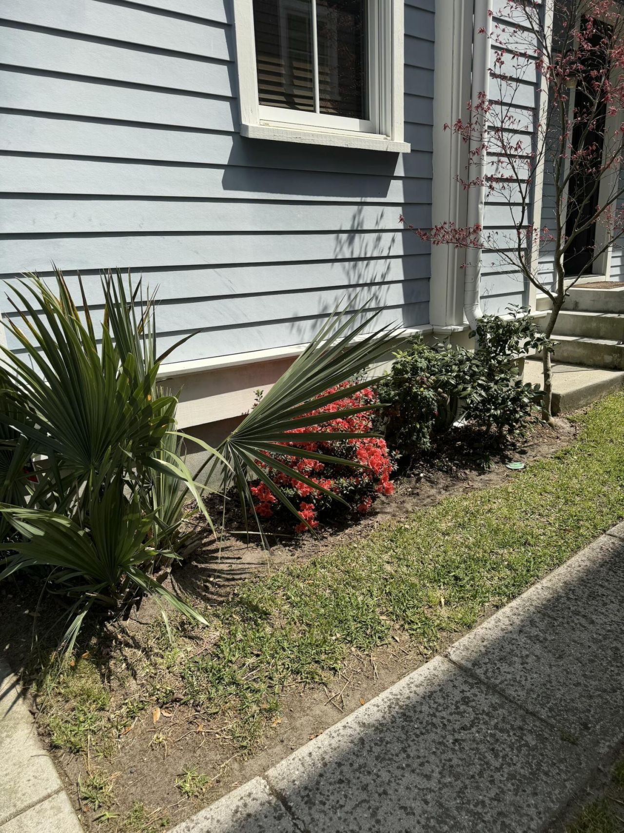 71 Bogard Street Photo 4