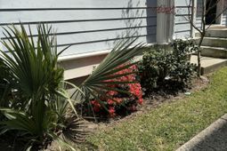 71 Bogard Street photo 4