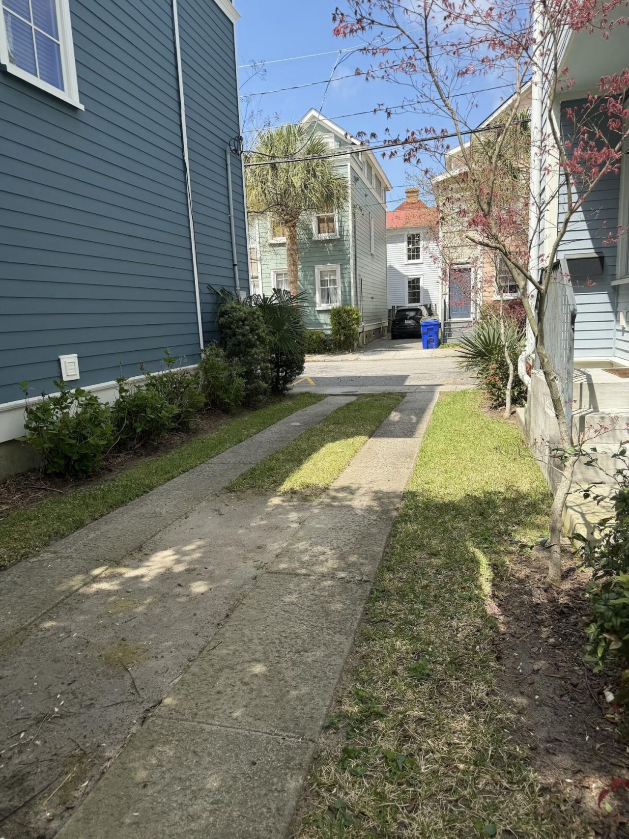 71 Bogard Street Photo 5