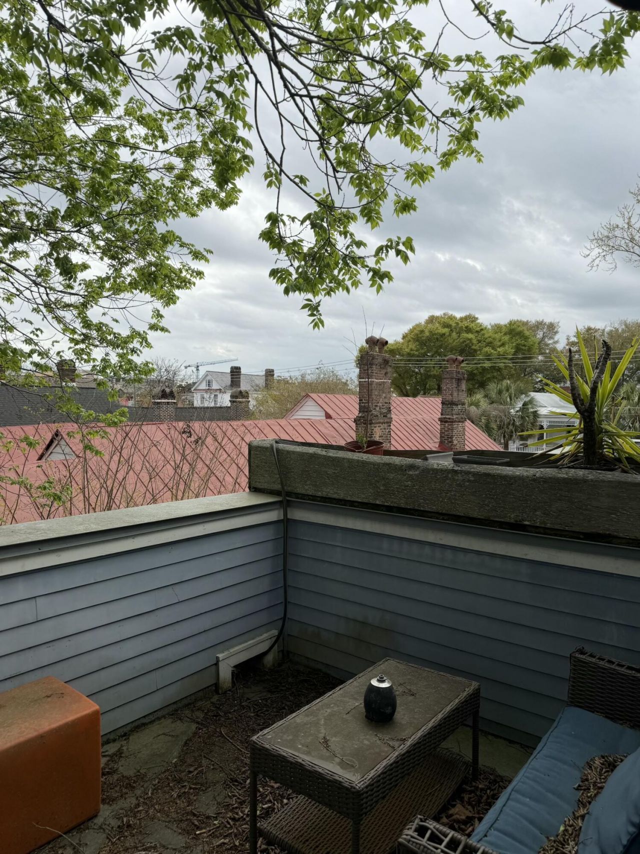 71 Bogard Street Photo 53