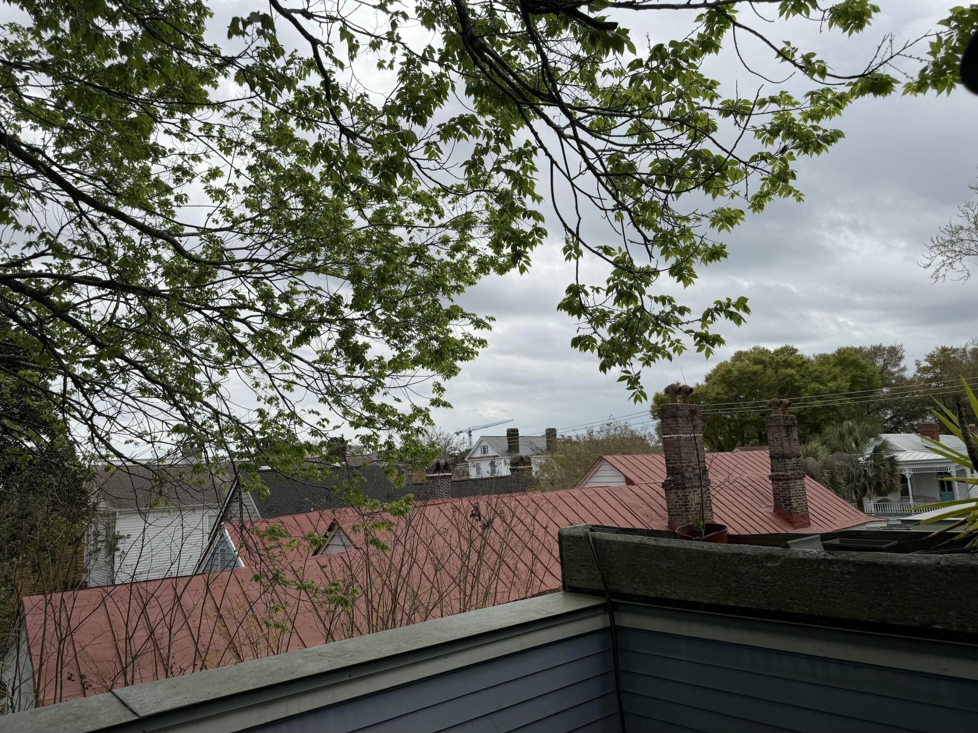 71 Bogard Street Photo 54