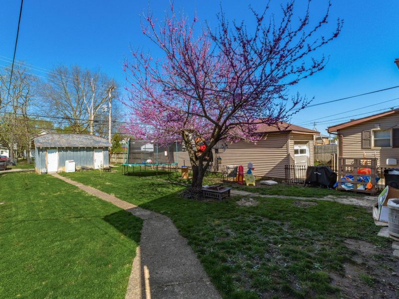 148 Pinckney Street, Circleville, OH 43113 Photo 5