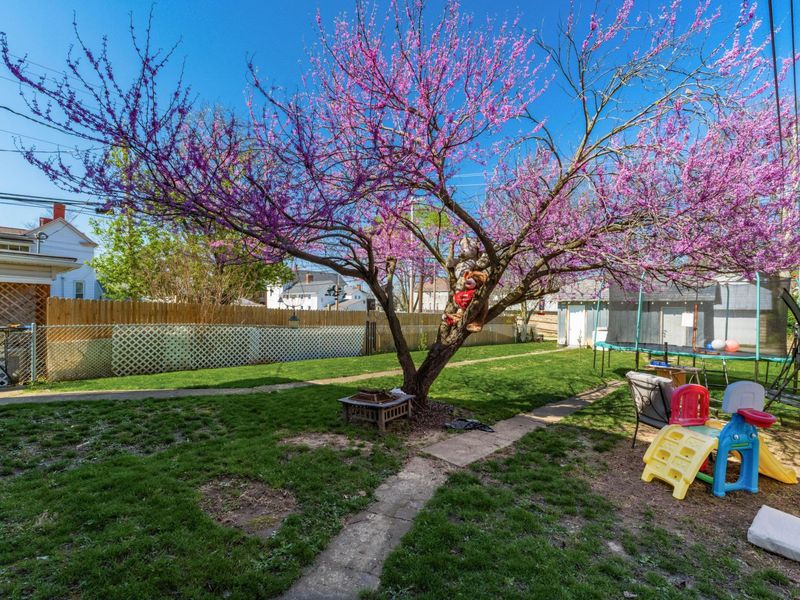 148 Pinckney Street, Circleville, OH 43113 Photo 6