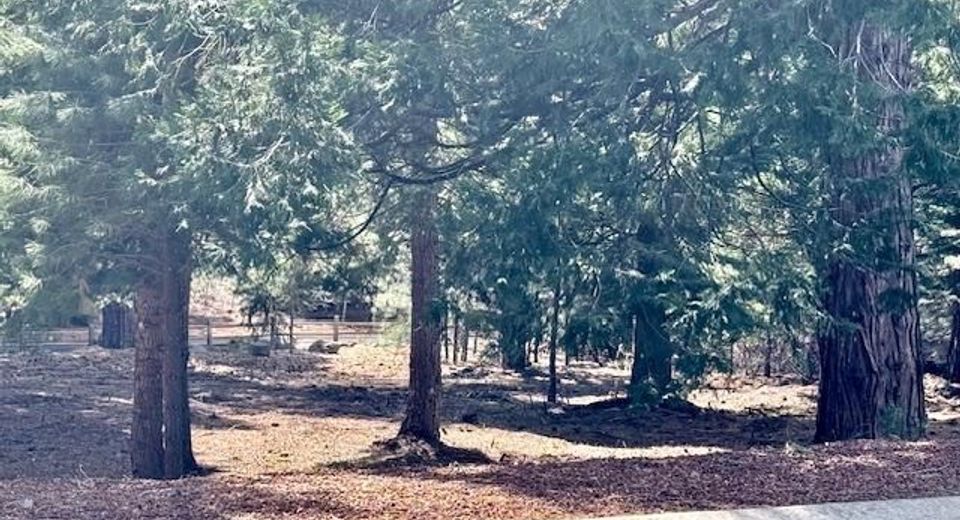 85 Fox Ridge Drive, Lake Almanor, CA 96137 Photo