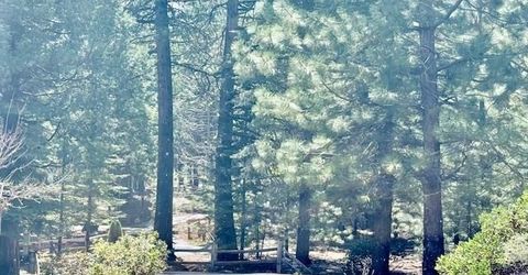 85 Fox Ridge Drive, Lake Almanor, CA 96137 Photo