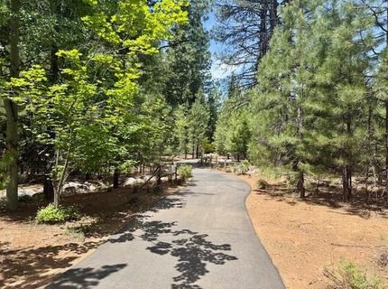 85 Fox Ridge Drive, Lake Almanor, CA 96137 Photo