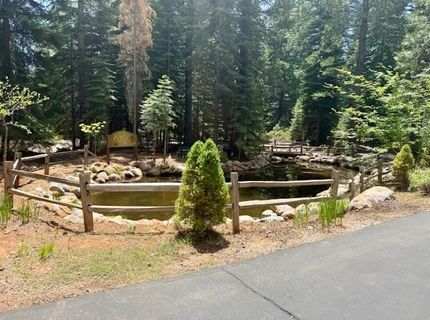 85 Fox Ridge Drive, Lake Almanor, CA 96137 Photo