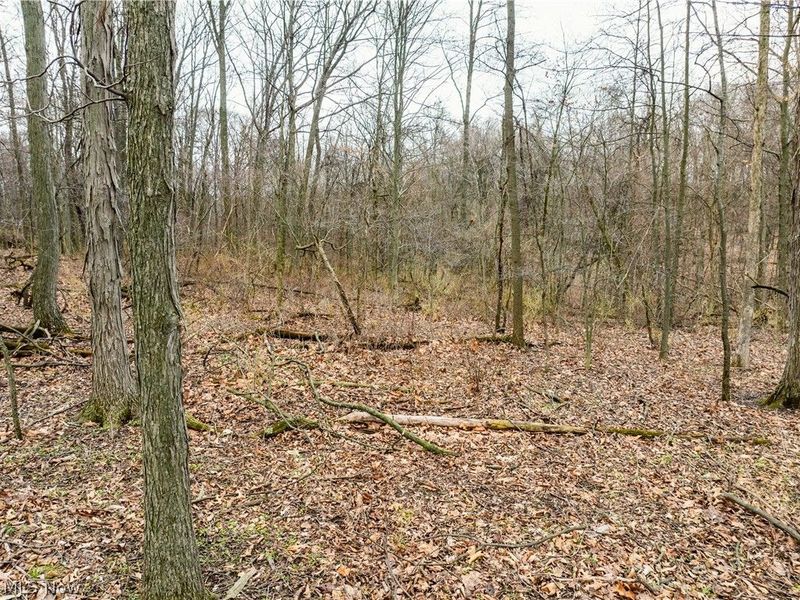 6760 SR-516 NW, Dundee, OH 44624 Photo 43