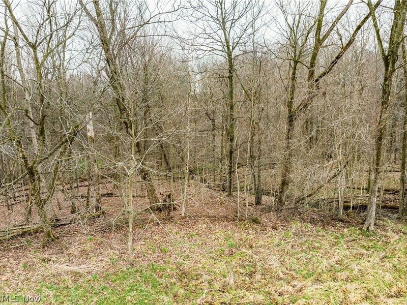 SR-516 NW, Dundee, OH 44624 Photo 15