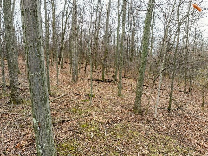 SR-516 NW, Dundee, OH 44624 Photo 19