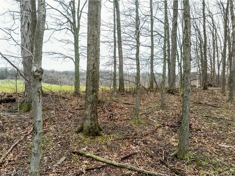 SR-516 NW, Dundee, OH 44624 Photo 14