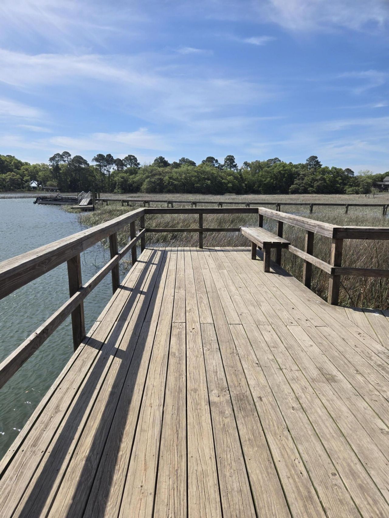 1338 Ellison Run Photo 48