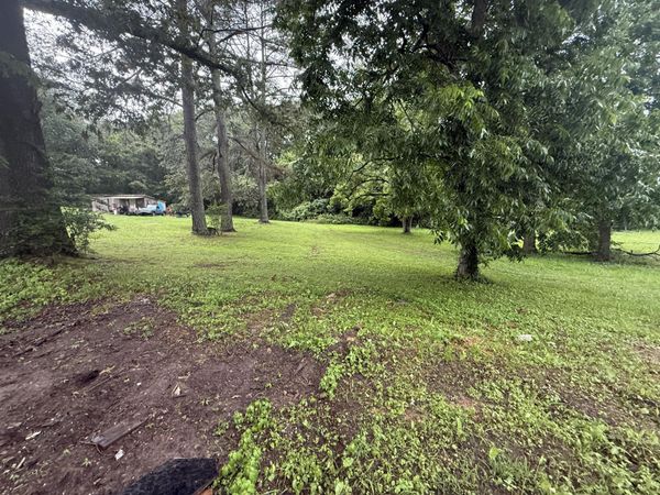 0 Diamond Avenue, Bridgeport, AL 35740