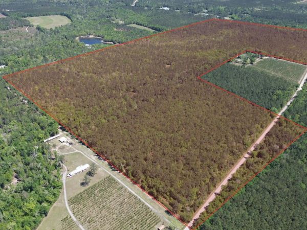 00 Hardaway Highway , Chattahoochee, FL 32324