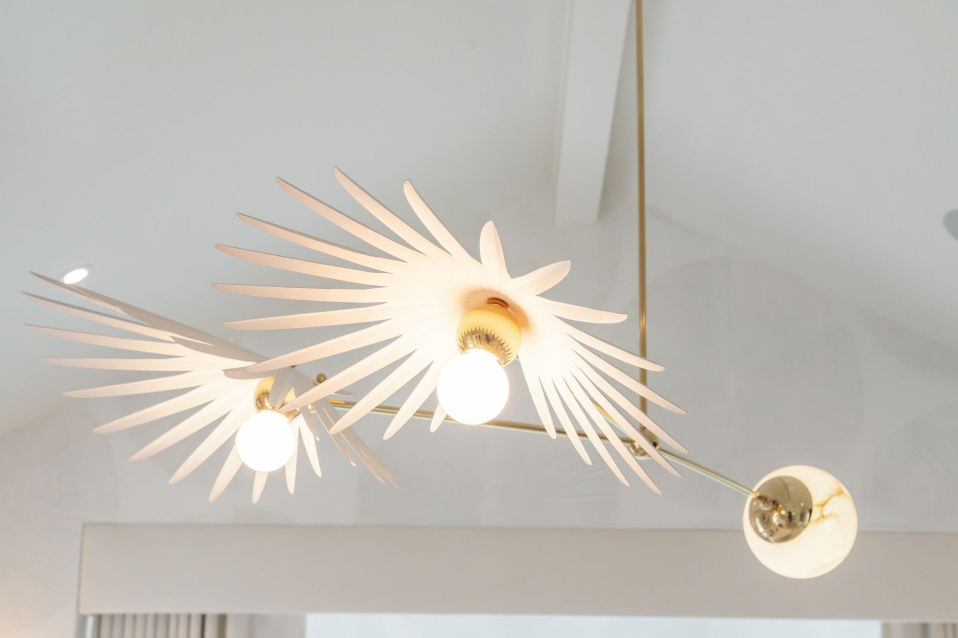 11 Pierates Cruz Photo 40