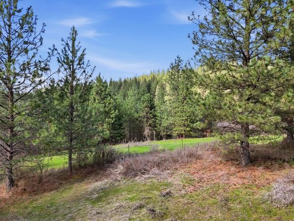 151XX E Cooper Rd, Mead, WA 99021