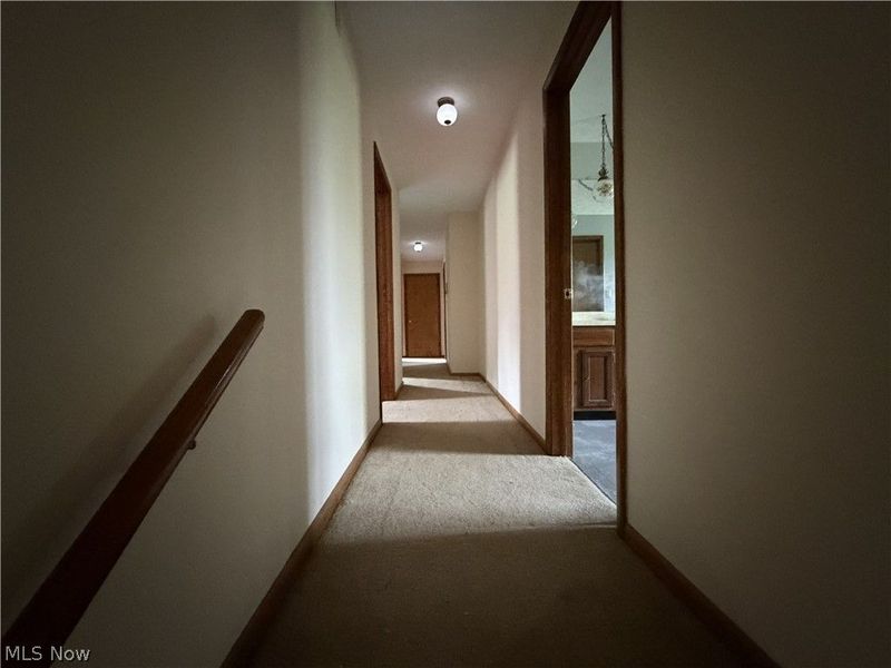 113 Martha Drive, Saint Clairsville, OH 43950 Photo 20