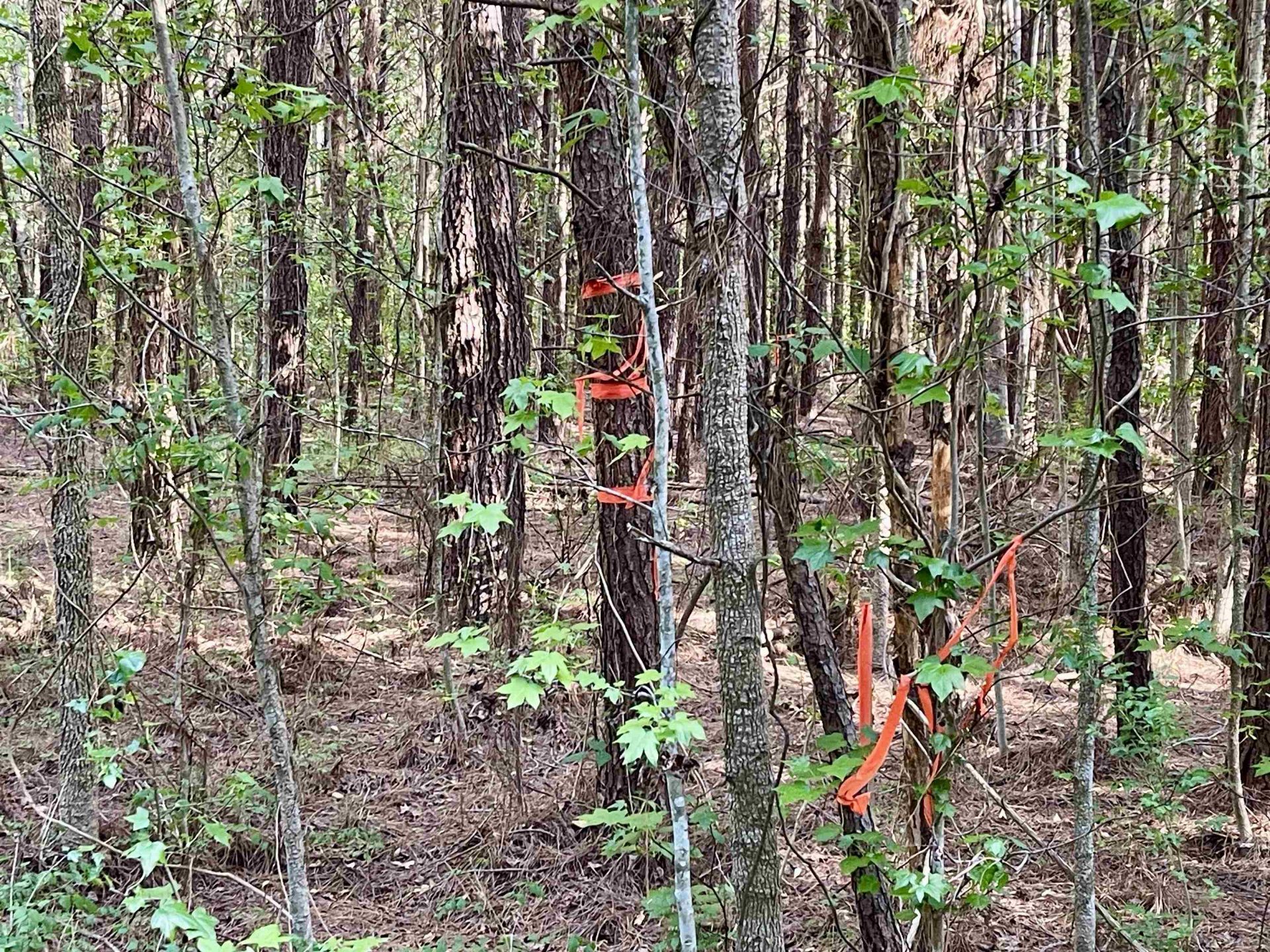 Tbd Beth Dr. Photo 11