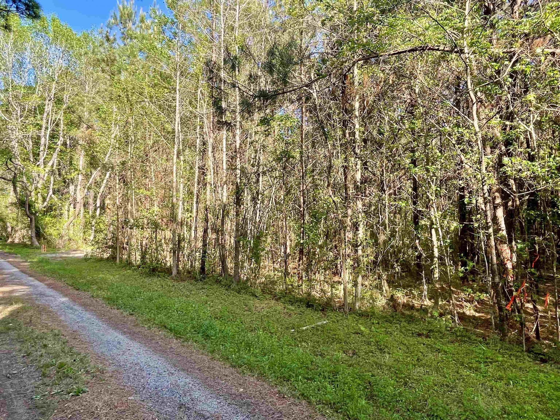 Tbd Beth Dr. Photo 12