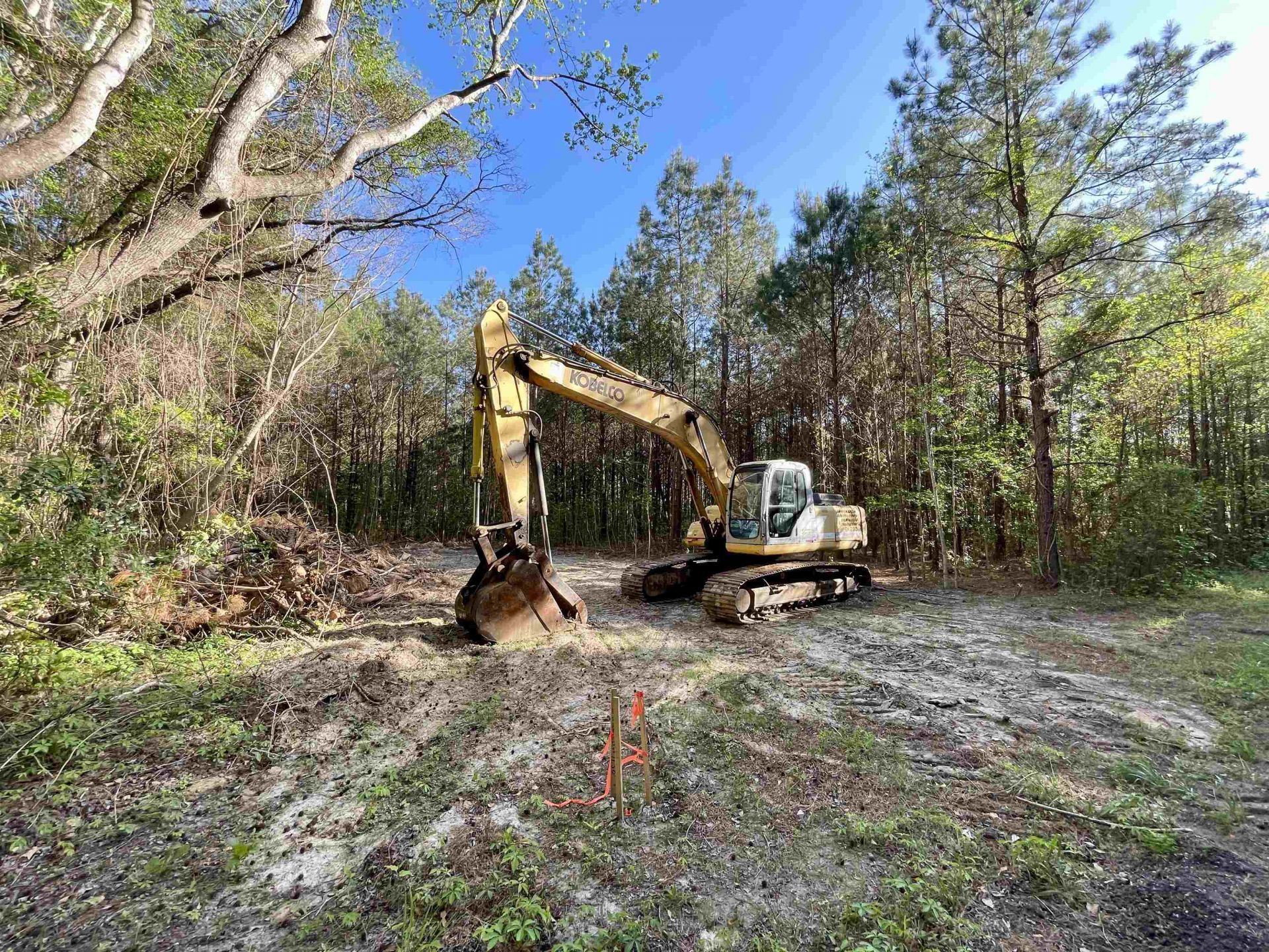 Tbd Beth Dr. Photo 4