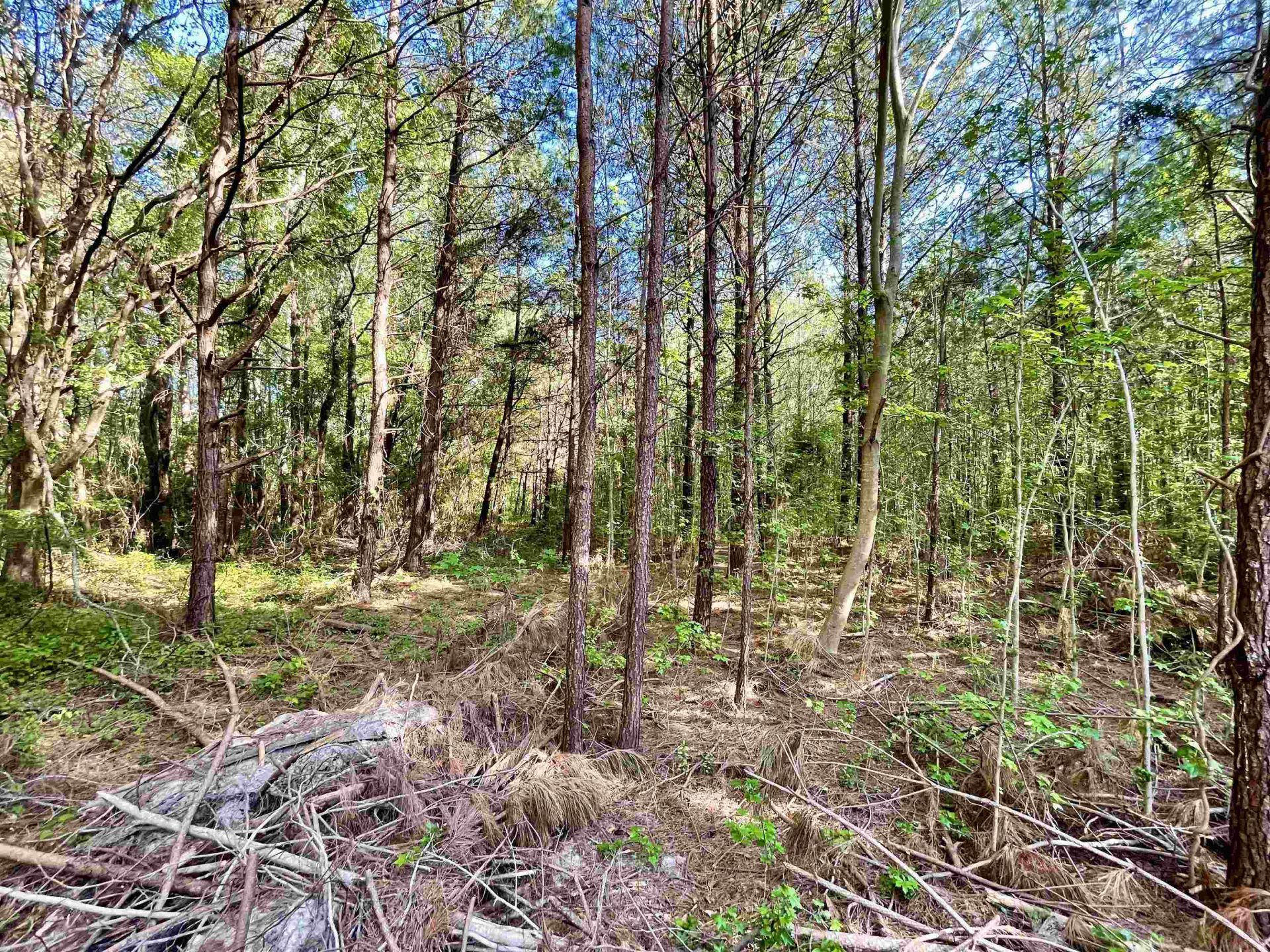 Tbd Beth Dr. Photo 5