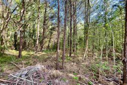 Tbd Beth Dr. photo 4