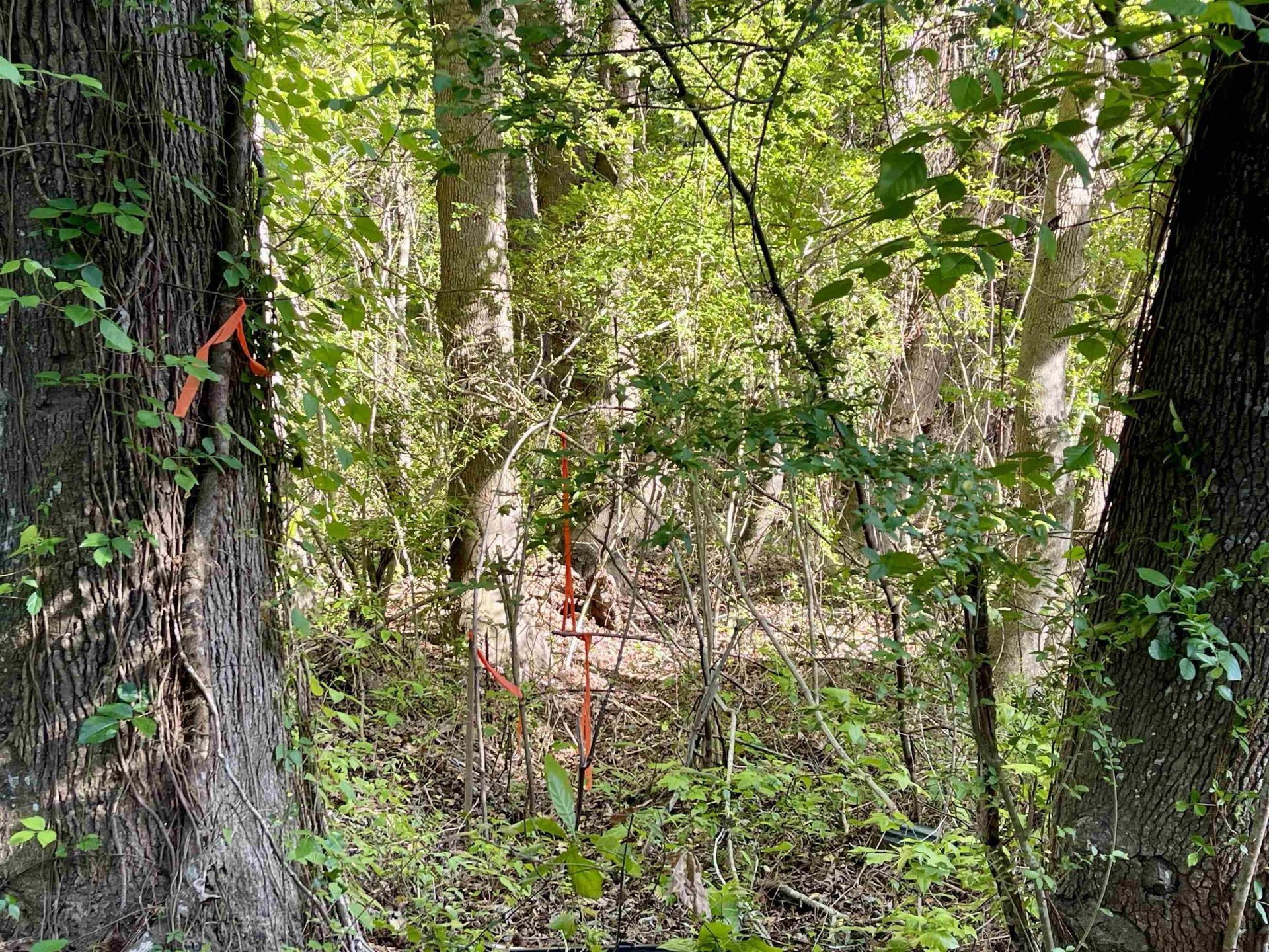 Tbd Beth Dr. Photo 9