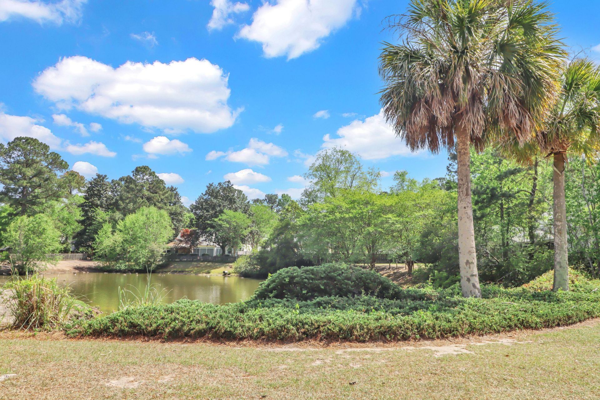 123 Alwyn Boulevard Photo 17