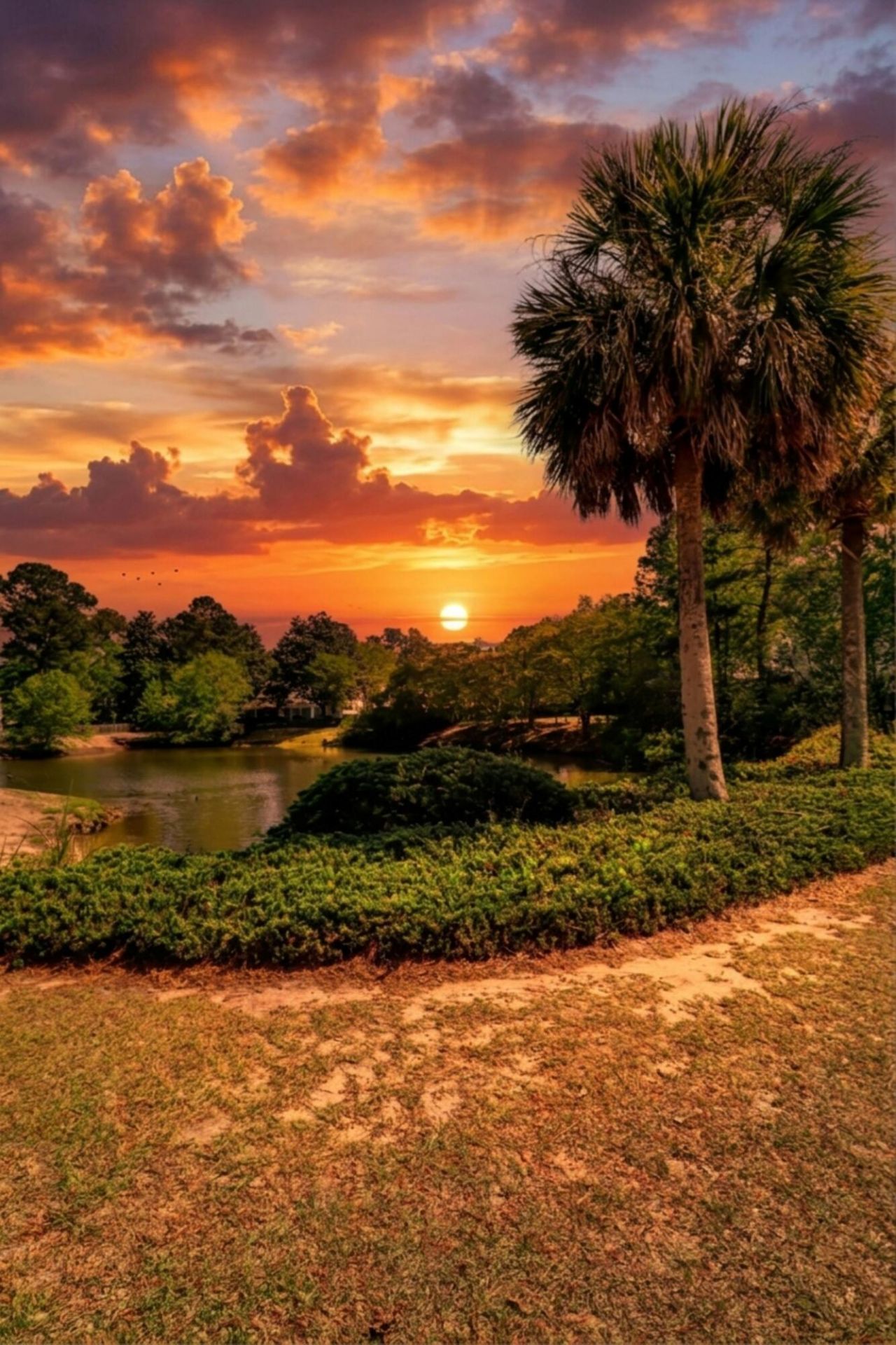 123 Alwyn Boulevard Photo 18