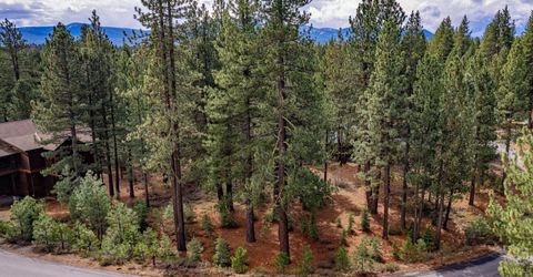 11301 China Camp Road, Truckee, CA 96161 Photo