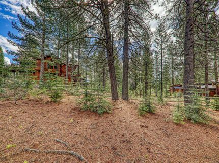 11301 China Camp Road, Truckee, CA 96161 Photo