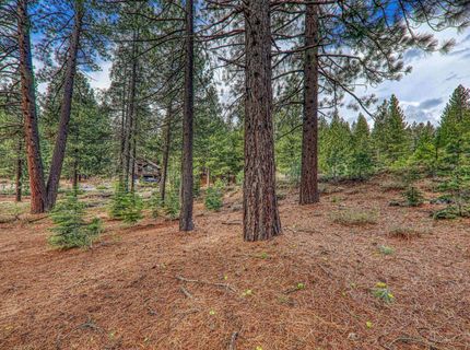 11301 China Camp Road, Truckee, CA 96161 Photo