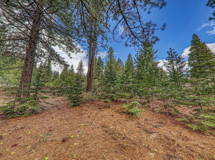 11301 China Camp Road, Truckee, CA 96161 Photo