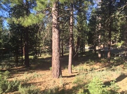 11301 China Camp Road, Truckee, CA 96161 Photo