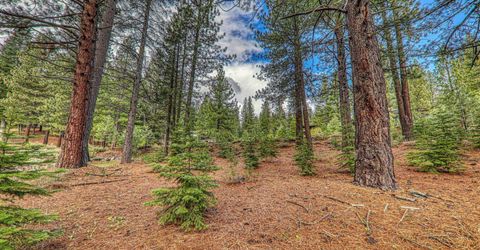 11301 China Camp Road, Truckee, CA 96161 Photo