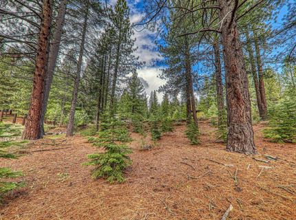 11301 China Camp Road, Truckee, CA 96161 Photo