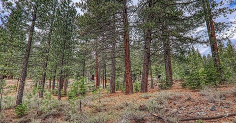 11301 China Camp Road, Truckee, CA 96161 Photo