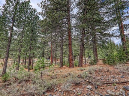 11301 China Camp Road, Truckee, CA 96161 Photo