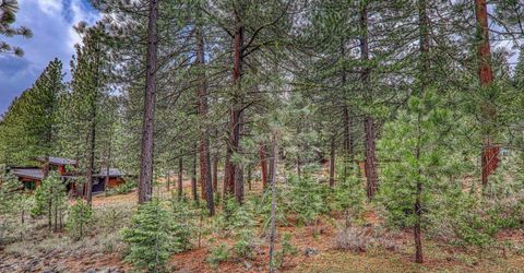 11301 China Camp Road, Truckee, CA 96161 Photo