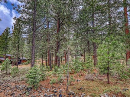 11301 China Camp Road, Truckee, CA 96161 Photo