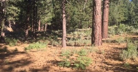 11301 China Camp Road, Truckee, CA 96161 Photo